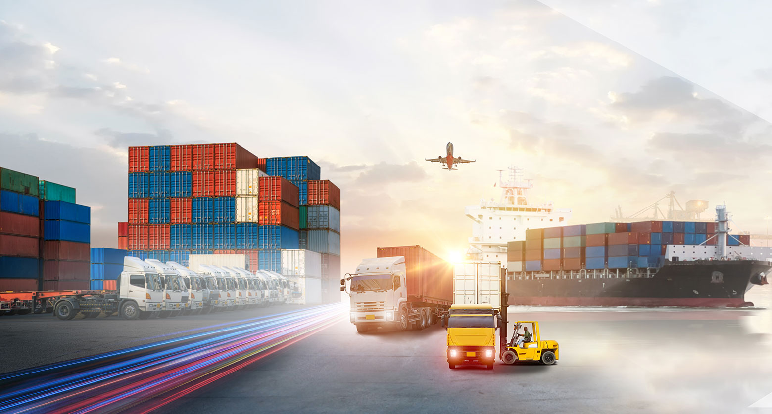 supply chain management